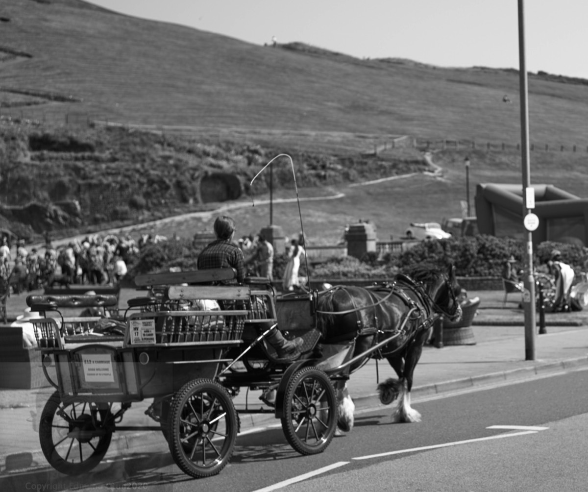 Dont you just love Tourists!