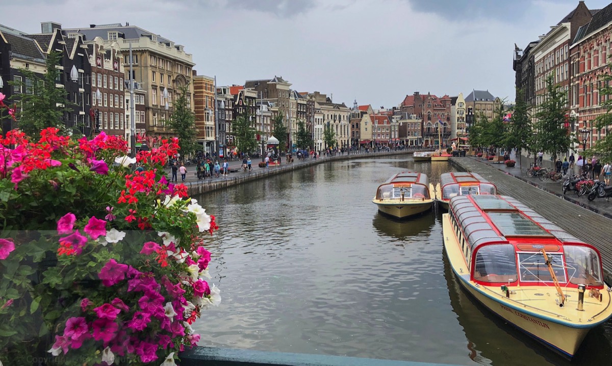 Amsterdam canal. No Ducks not even plastic ones. they are probable all stoned