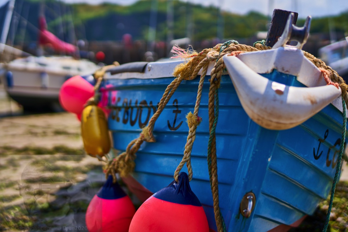 Where has the water gone