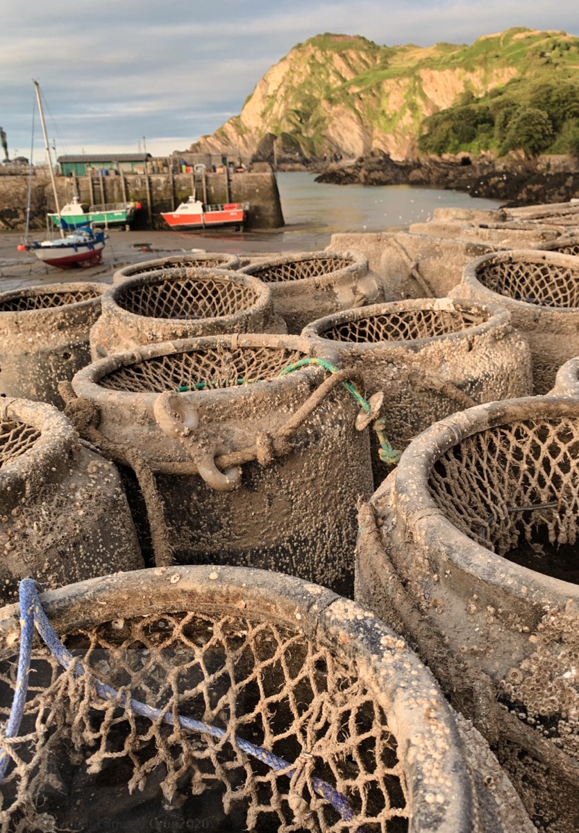 Lobster potts empty SHAME