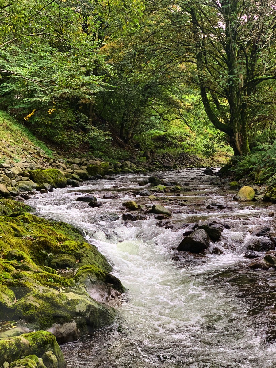 Beautiful but how do I get across and stay dry